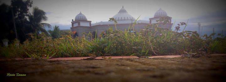 1385541 244247269063282 1340453686 n